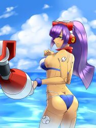 layer, layer_(mega_man), swimsuit_layer_(x_dive), zero_(mega_man), capcom