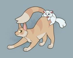 cloudtail_(warriors), sandstorm_(warriors), warrior_cats, warriors_(book_series), warriors_(cats)
