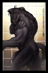 dasaod, grisser, ass, equine, flaccid