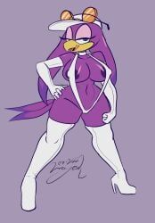 wave_the_swallow, sonic_(series), sonic_riders, sonic_the_hedgehog_(series), wayesh
