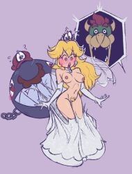 bowser, cappy_(mario), chain_chomp, koopa, mario