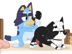 bluey_heeler, mackenzie_(bluey), bluey_(series), 3_toes, 4_fingers