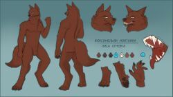 animal_genitalia, anthro, balls, blue_eyes, canid