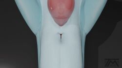 interceptor, anal_wink, anthro, anus, anus_focus