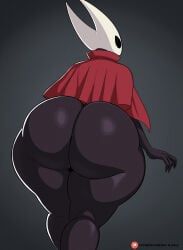 hornet_(hollow_knight), hollow_knight, hollow_knight:_silksong, hollow_knight_(franchise), silksong