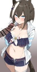cheval_grand_(umamusume), umamusume, kumiyabe, 1boy, 1girls