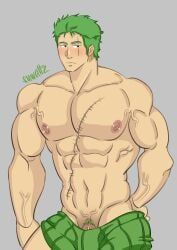roronoa_zoro, one_piece, artist_request, 1boy, abs