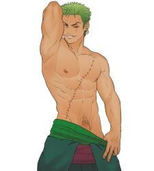 roronoa_zoro, one_piece, g00miato, 1boy, abs