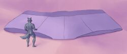 legoshi_(beastars), beastars, mariamame, anthro, briefs