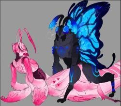 ulysseus, exquinoxe, bug, butterfly, furry