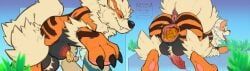 arcanine, generation_1_pokemon, pokemon_(species), nintendo, pokemon