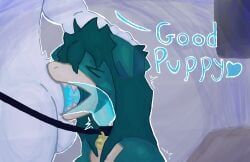 animal_genitalia, animal_penis, ano_kedama, anotheshark, anthro