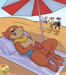 braixen, buizel, generation_1_pokemon, generation_4_pokemon, generation_6_pokemon