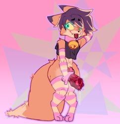 imgloka, armwear, canid, canine, clothing
