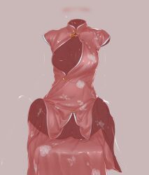 cheongsam, female, ghost, invisible, invisible_girl