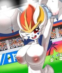 cinderace, drone_rotom, generation_4_pokemon, generation_8_pokemon, pokemon_(species)