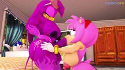 amy_rose, captain_clark, gotou_hitori, sonic_the_hedgehog, wave_the_swallow