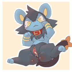 generation_4_pokemon, luxio, pokemon_(species), nintendo, pokemon