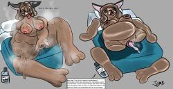 ishitmypants, ambiguous_fluids, amputee, anthro, bad_end