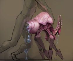 meandraco, alien, ambiguous_gender, ambiguous_penetration, arthropod