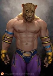 king_(tekken), tekken, ynorka, 1boy, fursuit_head
