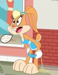 lola_bunny, looney_tunes, the_looney_tunes_show, warner_brothers, thedispenser69