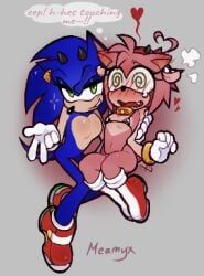 amy_rose, sonic_the_hedgehog, sonic_(series), sonic_the_hedgehog_(series), meamyx
