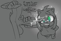 amy_rose, sonic_the_hedgehog, sonic_(series), sonic_the_hedgehog_(series), billinsanity415