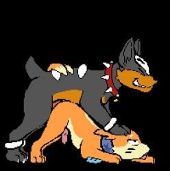 buizel, generation_2_pokemon, generation_4_pokemon, houndour, pokemon_(species)