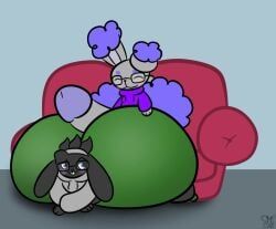 buneary, generation_4_pokemon, generation_8_pokemon, pokemon_(species), raboot