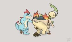 bayleef, croconaw, generation_2_pokemon, pokemon_(species), quilava