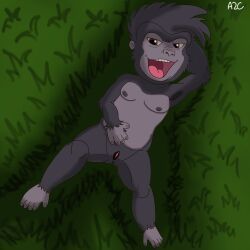 tarzan_(disney), terk, disney, animal_humanoid, anthro