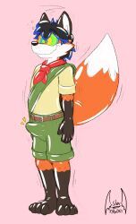 fletcher_fox, soul-silver-dragon, 4_toes, anthro, at_attention