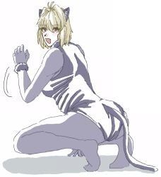 arcueid_brunestud, arcueid_brunestud_(monster_cat), kagetsu_tohya, melty_blood, tsukihime