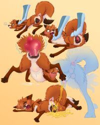 lornsky, canine, feral, fox, peeing