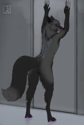 alice_(akaifox), anatomically_correct, anatomically_correct_genitalia, anatomically_correct_pussy, angry