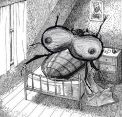 gregor_samsa, the_metamorphosis, unknown_editor, 6_legs, after_transformation