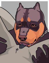 oystr, ambiguous_gender, american_bully, anthro, black_vulva
