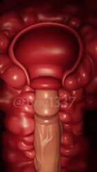 roblox, berz1337, cervical_contact, cervical_penetration, cervix