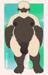 hunnipanda, anthro, balls, belly, bovid