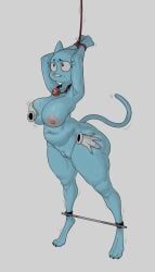 nicole_watterson, cartoon_network, the_amazing_world_of_gumball, kryadrawgin, anthro