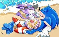blaze_the_cat, sonic_the_hedgehog, sega, sonic_the_hedgehog_(series), zeunnert_tw
