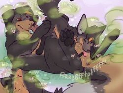 korwin, pariahpuppy, anus, balls, bat-eared_fox