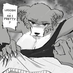 juno_(beastars), legoshi_(beastars), beastars, foxtra, oxtra