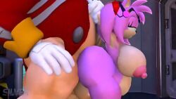 amy_rose, dr._eggman, robotnik, dr_eggman, sonic_(series)
