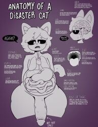 nick_(disastercat), disastercat, organ, anatomical_diagram, anatomical_study