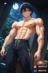 sung_jin_woo, solo_leveling, torri1, 1boy, abs