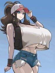 hilda_(pokemon), nintendo, pokemon, wolffeld_price, 1girl