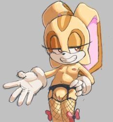 cream_the_rabbit, sega, sonic_(series), sonic_team, sonic_the_hedgehog_(series)