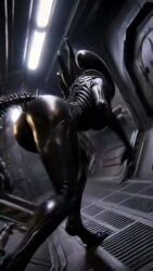 female_xenomorph, xenomorph, alien_(franchise), 1boy, 1girl